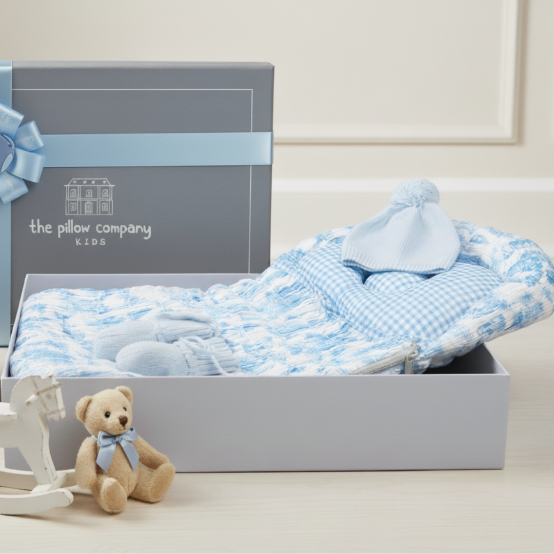 Blue Toile Snuggle Starter Set