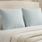 Blue Cloud Euro Sham